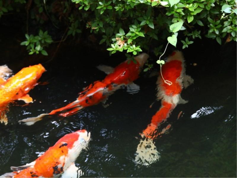 Besshoonsen Nanjyo Ryokan 우에다 외부 사진